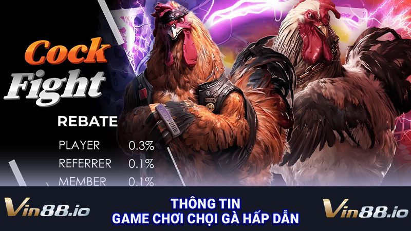 Thông tin game chơi chọi gà hấp dẫn
